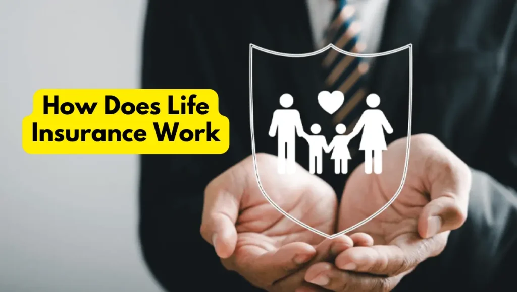 How Does Life Insurance Work
